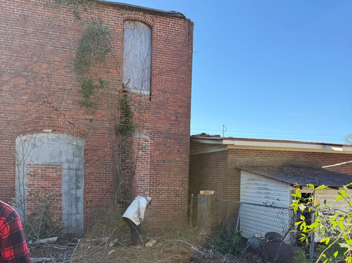 El Costeño Tree Service LLC